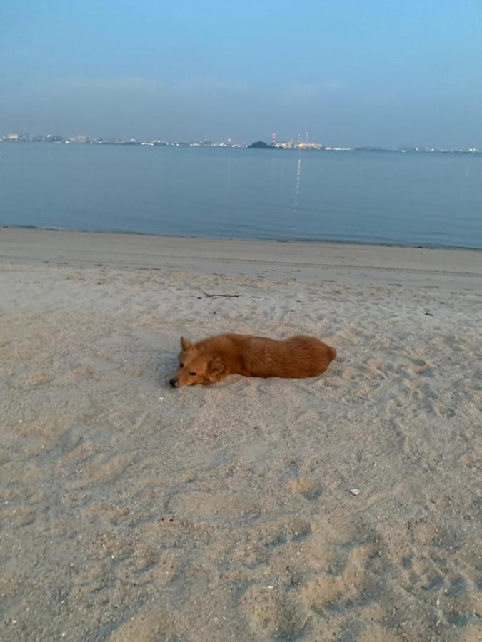 Sea View 2 Bedroom Fully Furnished Apartment Forest City Starview Bay Johor Malaysia Kampong Pok Kechil エクステリア 写真